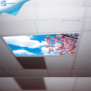 AUXO Modern Ceiling Led Skylights Beam Light Diffuser Film 600x600mm Heart Balloon Led Fluorescent Light Fixture Cover Stickers