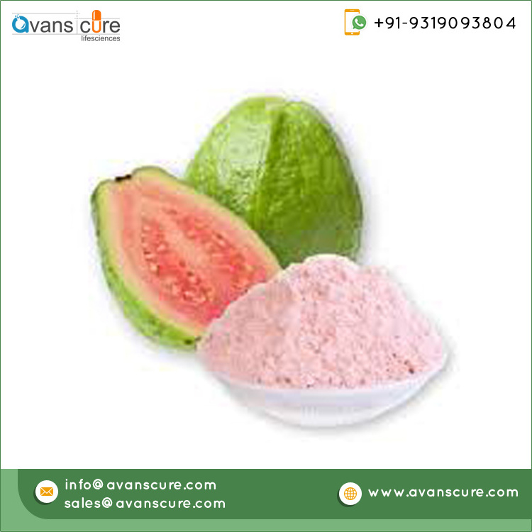 Top Quality 100% Pure and Natural Pink Color Guava Herbal Extract Powder for Making Milkshakes and Juices at Best Price