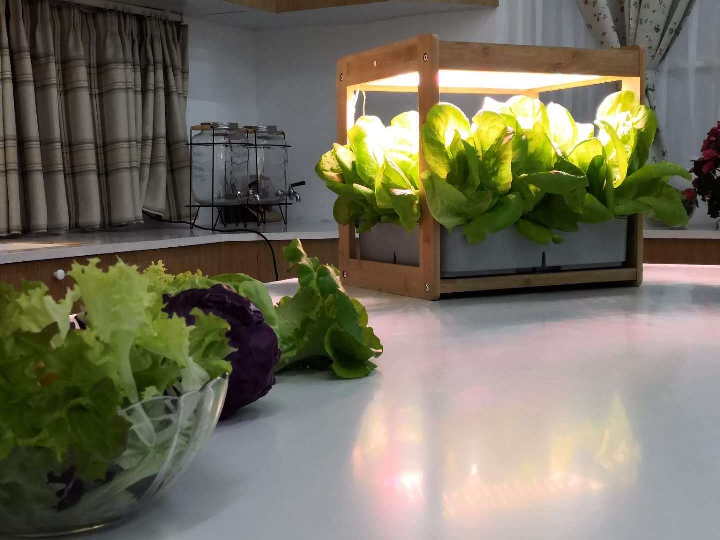 2019 led hydro indoor mini auto grow system grow box complete indoor plant box Agriculture Farming