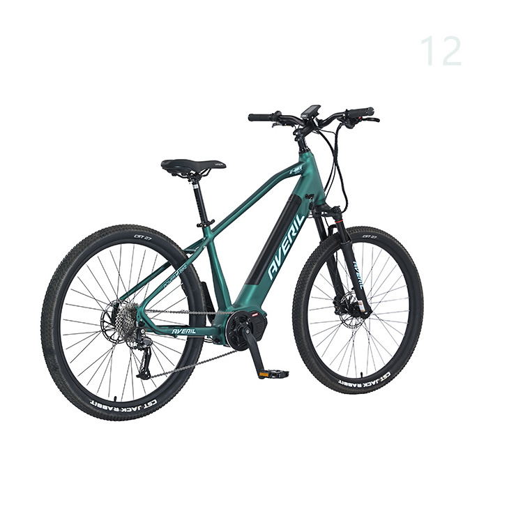 1000w fat tire electric bike mountain ebike e bicycle  electric mountain bike, full suspension electric-bike  electric mountain