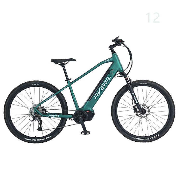 1000w fat tire electric bike mountain ebike e bicycle  electric mountain bike, full suspension electric-bike  electric mountain