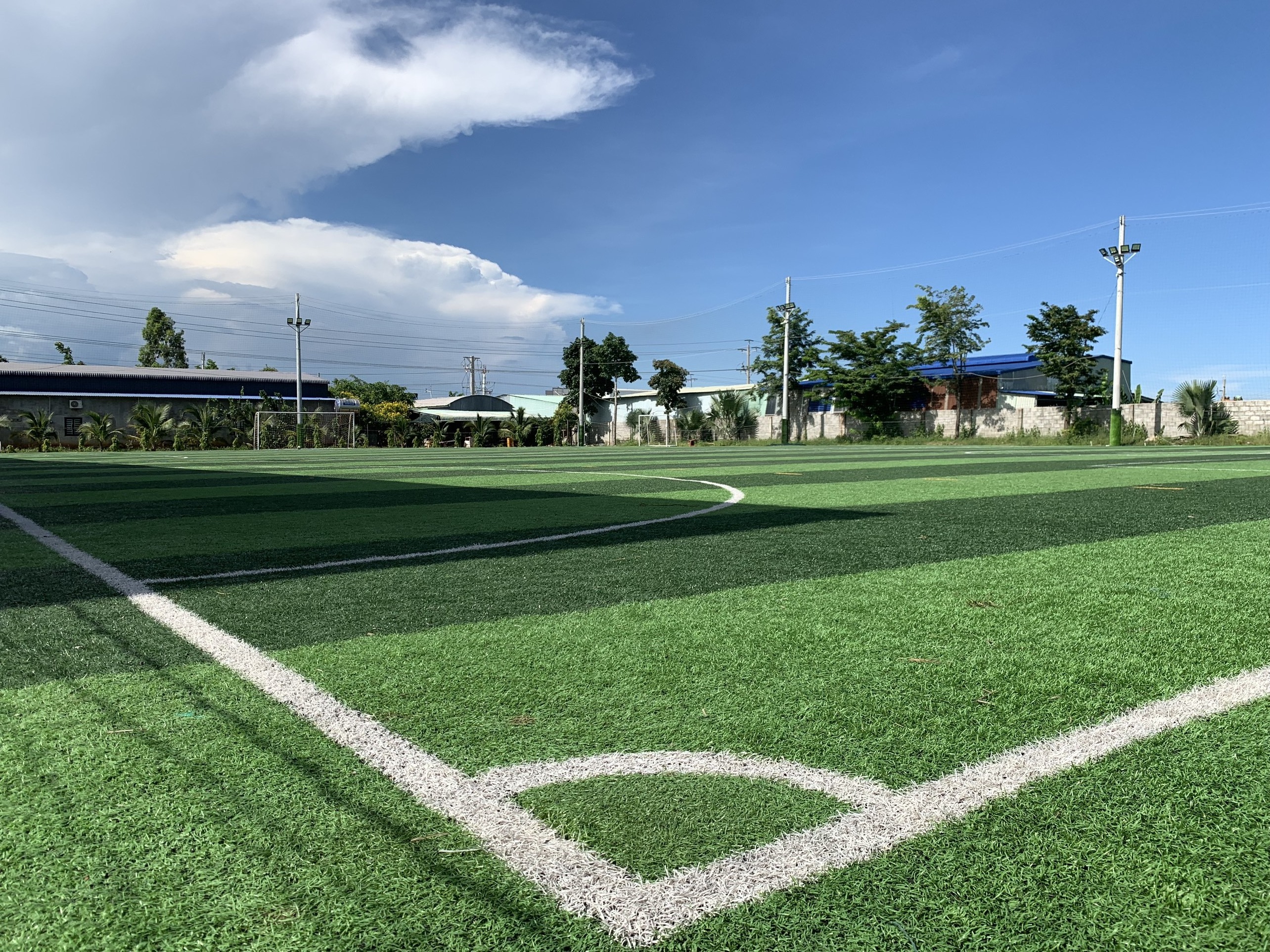 Soccer Field Turf Artificial Turf Sports Flooring Football Artificial Grass