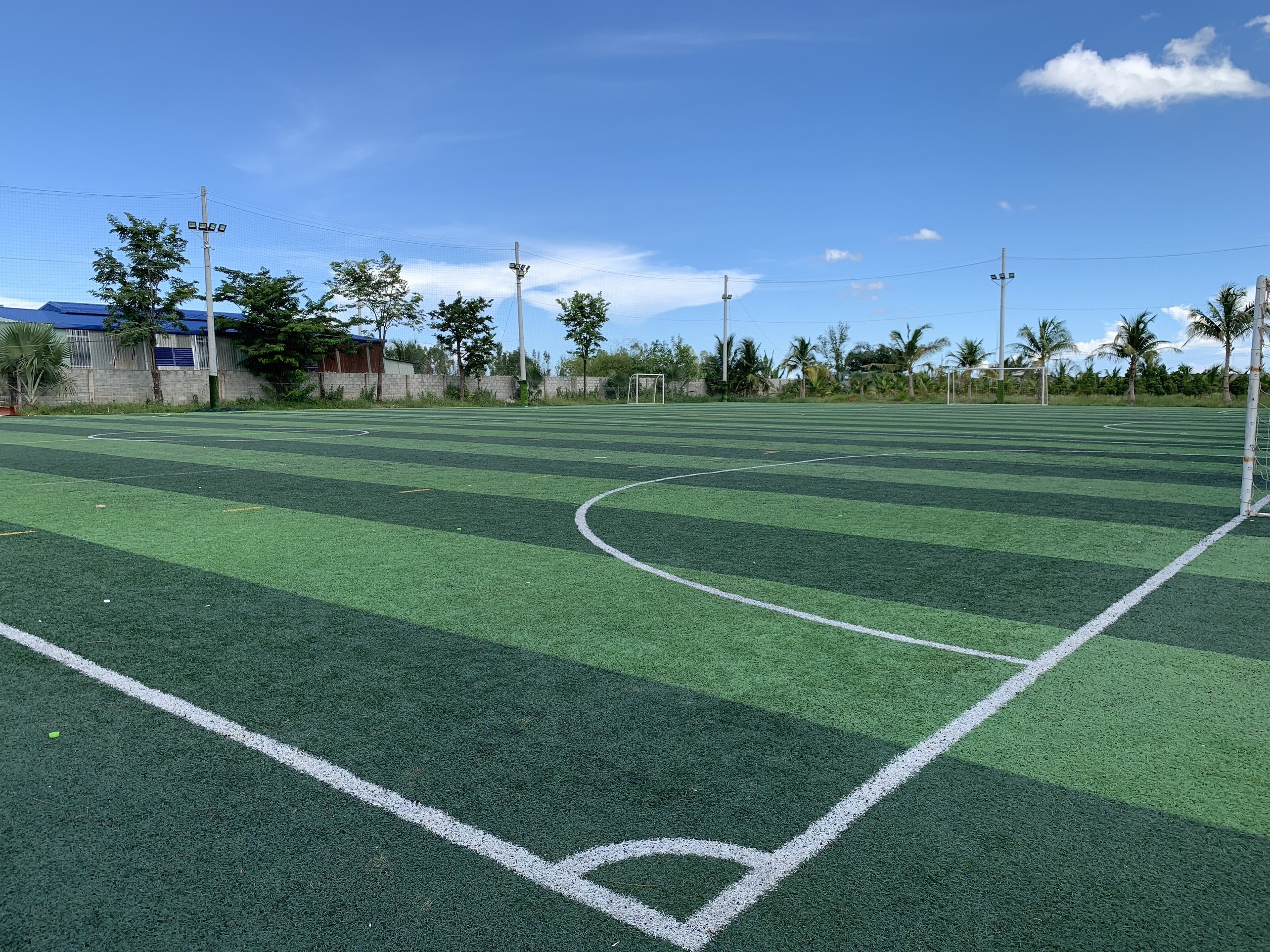 Soccer Field Turf Artificial Turf Sports Flooring Football Artificial Grass