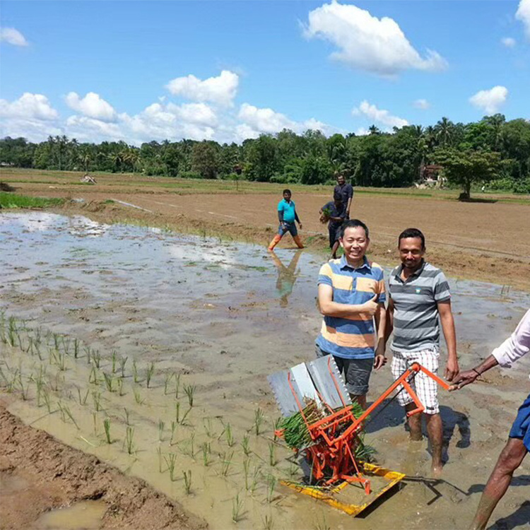 High efficiency manual paddy rice transplanter 2 rows rice planting machine