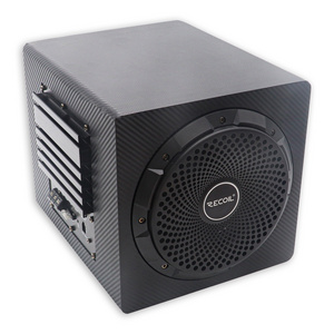 8 inch 10 inch Active Subwoofer with Passive Radiator