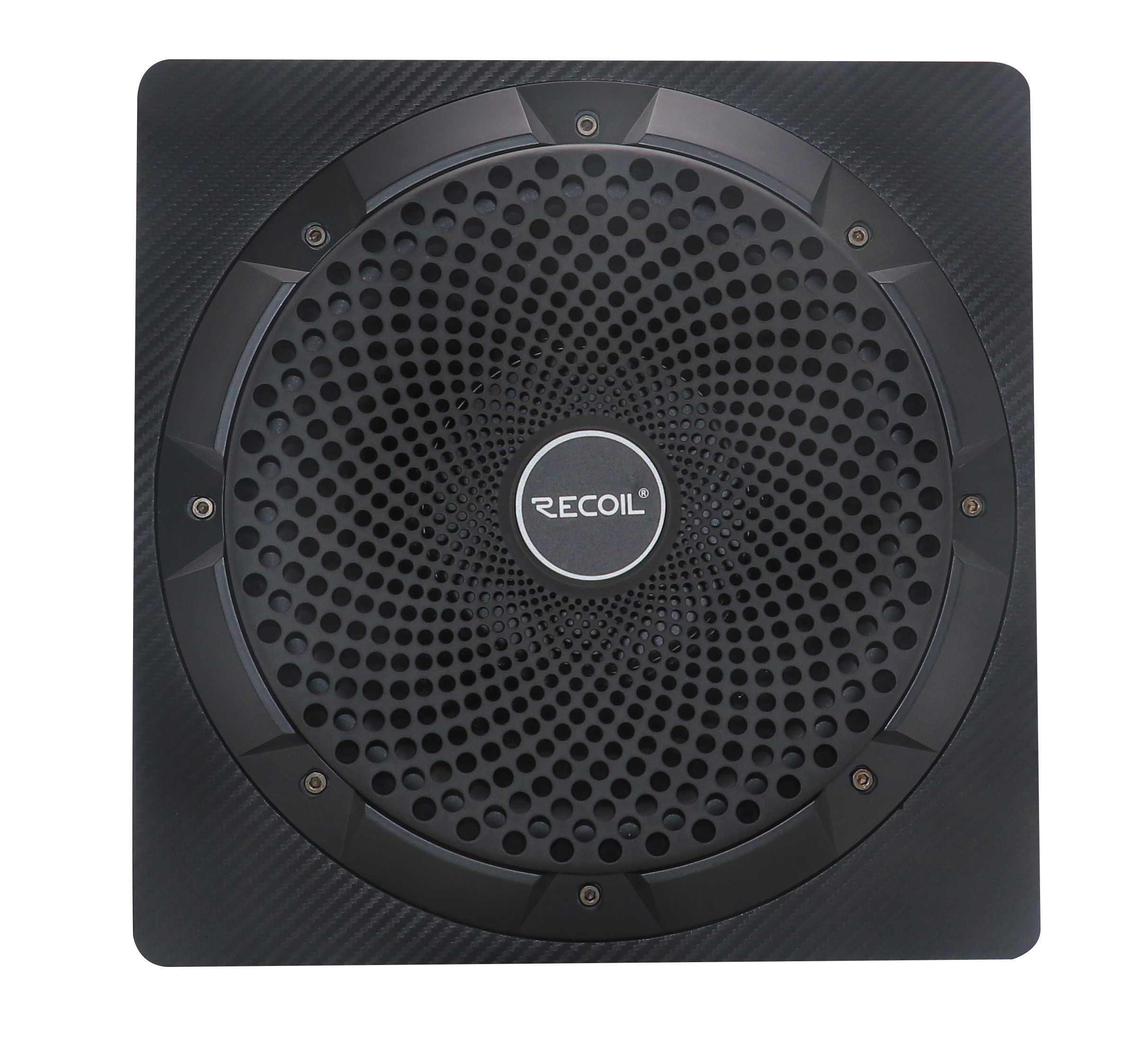 8 inch 10 inch Active Subwoofer with Passive Radiator