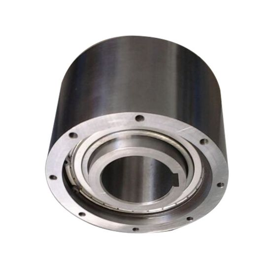 Popular Wholesale TSS 10 one way cam one-way clutch bearing for wholesales 760205TN1/P4DBB MZ45G-40