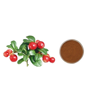 Pure Rose polyphenol 5% 20% plant extract  Rose Hip Extract powder Brown yellow powder