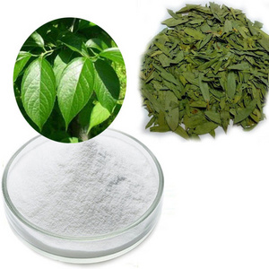 OEM &ODM Wholesale Eucommia chlorogenic acid 5% 10% 20% 25% 98% Extract powder Eucommia ulmoides extract 10:1 20/1 30/1