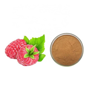 Wholesale natural Palmleaf Raspberry Fruit extract powder Raspberry fruit extract powder Claybank Powder