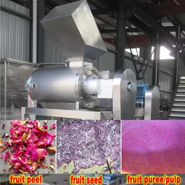 fresh grape seeds removing machine