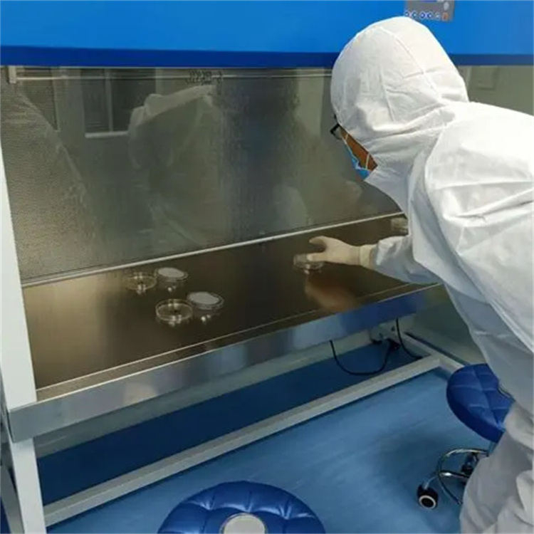 Clean Bench Workstation Dust Free Room Laminar Flow Cabinet/ Fume Hood/ Clean Bench Hood Price