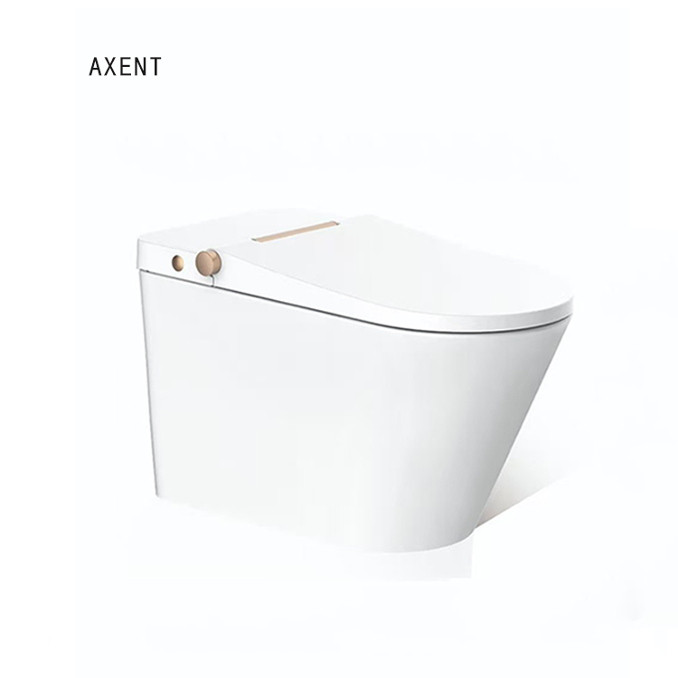 ANENT Japanese School Girl Siphon Jet Flushing Wc Electronic Intelligent Luxury Bathroom Set Toilet