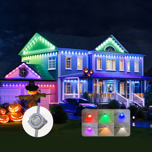 Led Dc 24v Christmas Jellyfish Lights Outdoor Ip65 House Exterior Wall Of House Permanent Led Point Light