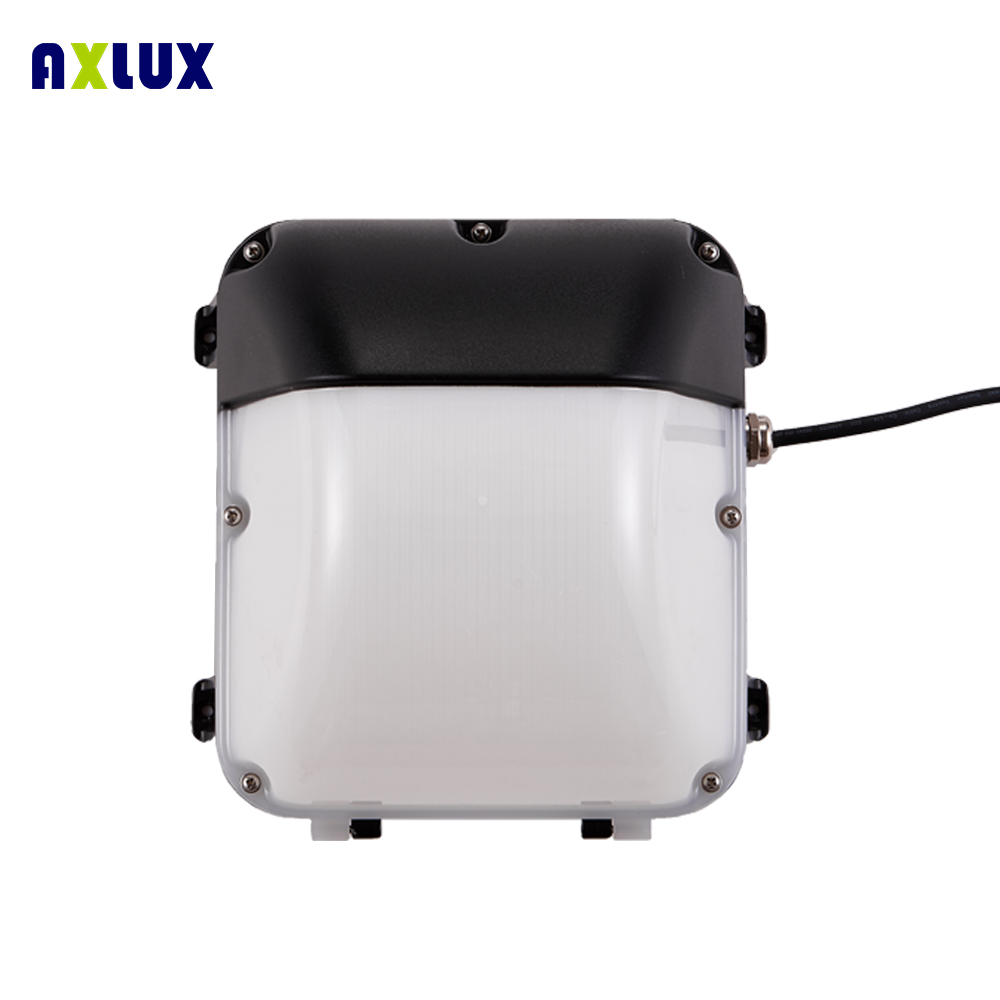 LED 20W 30W 50W  and 80W outdoor wall mounted lights are popular in modern living rooms hotel decoration and outdoor