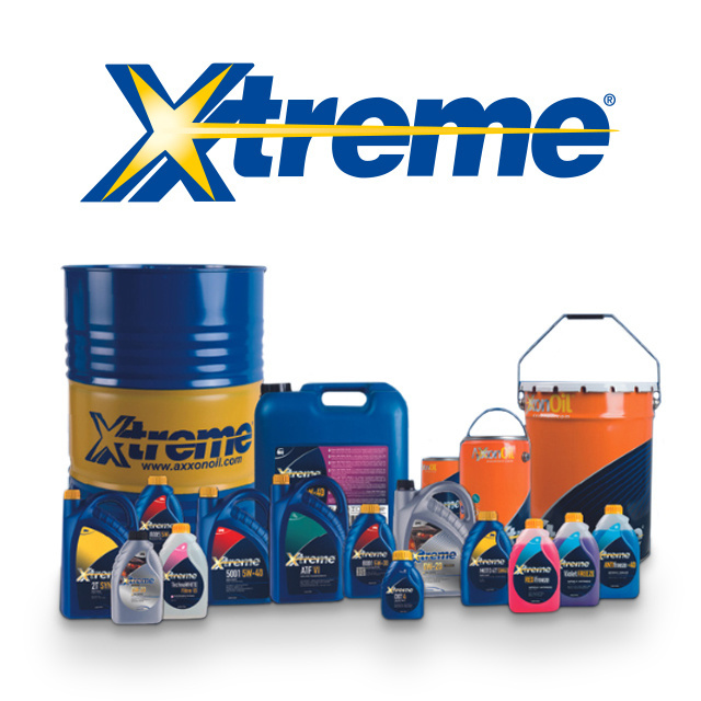 High Quality Made in Italy Lubricant XTREME DOT 4 0,9LX12 for Brake Fluids