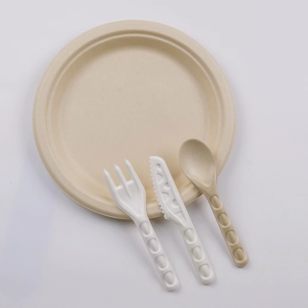 Eco-friendly Biodegradable Sugarcane Pulp Paper Plates Free Sample Disposable Biodegradable Sugarcane Bagasse Paper Plates