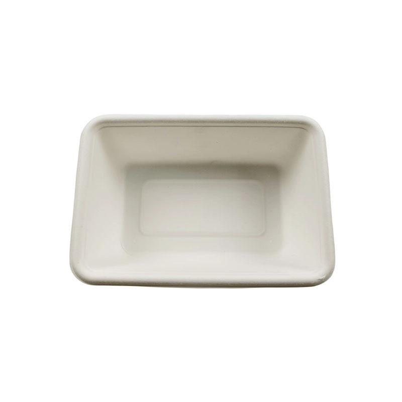 ANXINEP Biodegradable Disposable Compostable Takeaway Sugarcane Biodegradable Square With Lid Disposable Printed Paper Plates