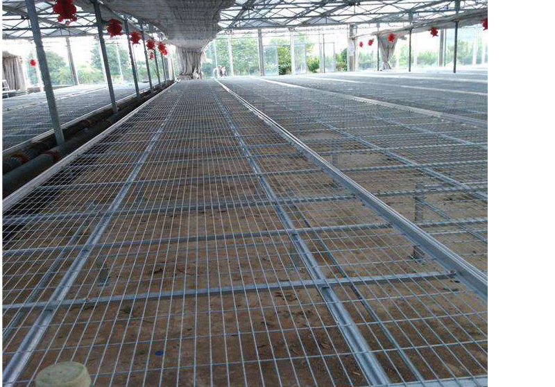 Vertical Greenhouse Tidal Seedbed Ebb Flow Tray 4x8 Hydroponic 4x4 Flood Drain Table and Rolling Grow Bench