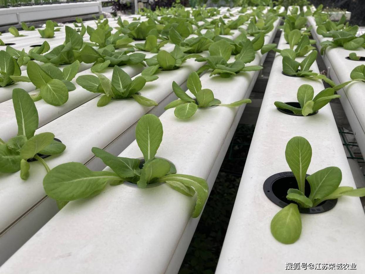 NFT Hydroponic Channel Growing Plants flowers vegetables fruits strawberry PVC plastic pipe factory manufacturer