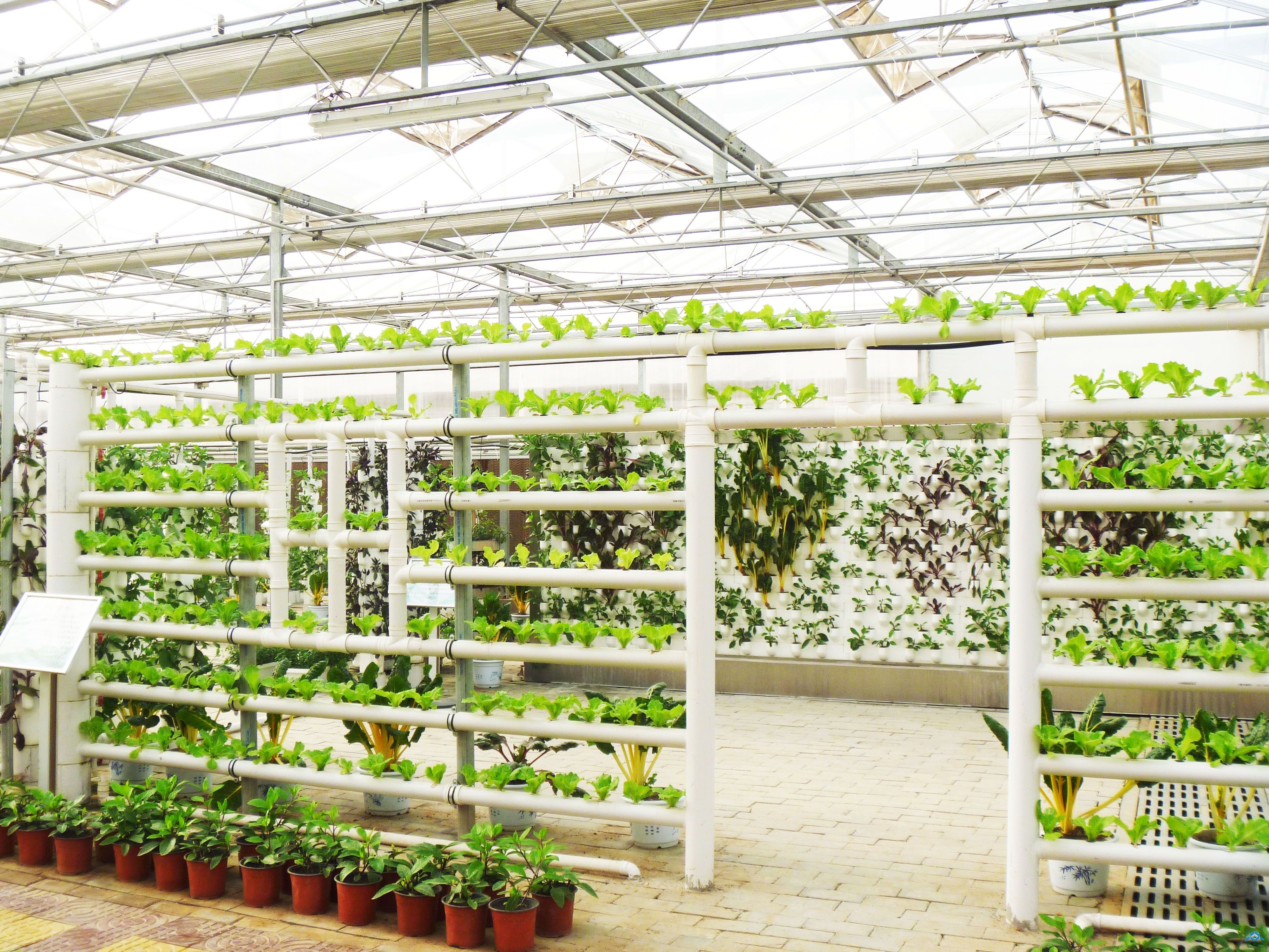 NFT Hydroponic Channel Growing Plants flowers vegetables fruits strawberry PVC plastic pipe factory manufacturer