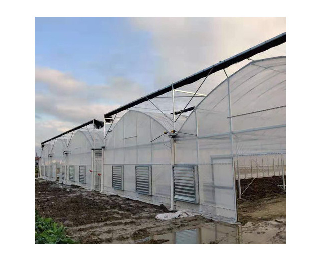 A-Frame Tree Green house Automatic HDPE Film Flat Roof Retractable Greenhouses for tree nursery