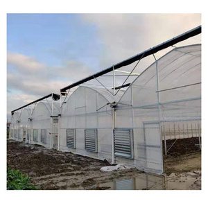 A-Frame Tree Green house Automatic HDPE Film Flat Roof Retractable Greenhouses for tree nursery