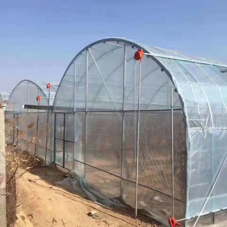 Commercial Used Multi span Agricultural Greenhouses SteelStructure Single Layer Greenhouse for Sale