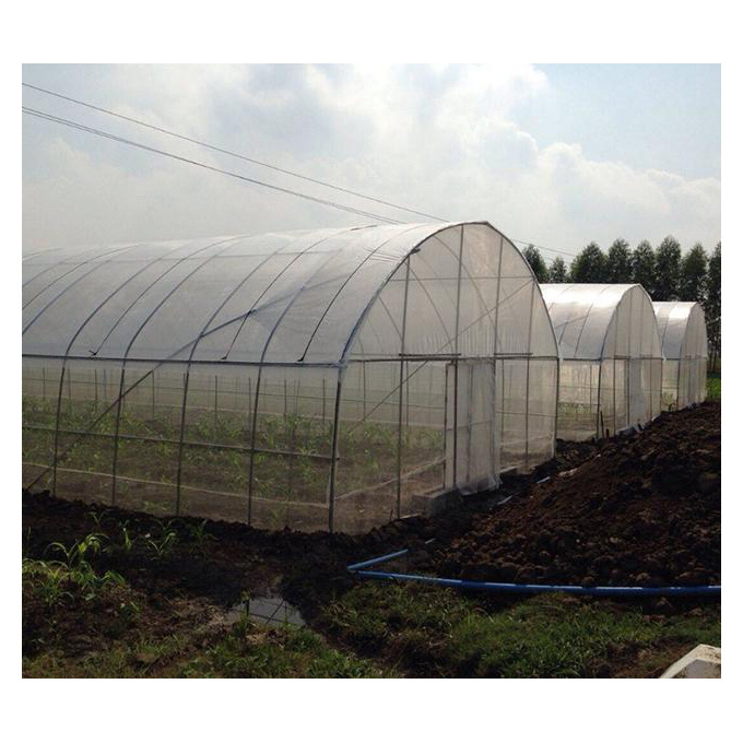 Commercial Used Multi span Agricultural Greenhouses SteelStructure Single Layer Greenhouse for Sale