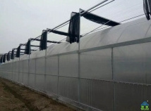 A-Frame Tree Green house Automatic HDPE Film Flat Roof Retractable Greenhouses for tree nursery