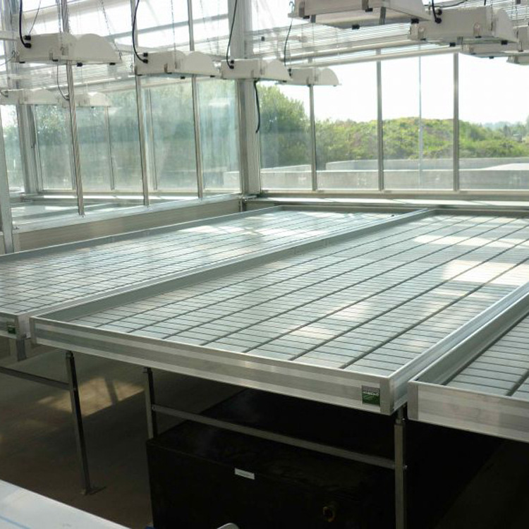 Vertical Greenhouse Tidal Seedbed Ebb Flow Tray 4x8 Hydroponic 4x4 Flood Drain Table and Rolling Grow Bench