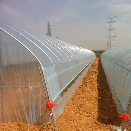 Commercial Used Multi span Agricultural Greenhouses SteelStructure Single Layer Greenhouse for Sale