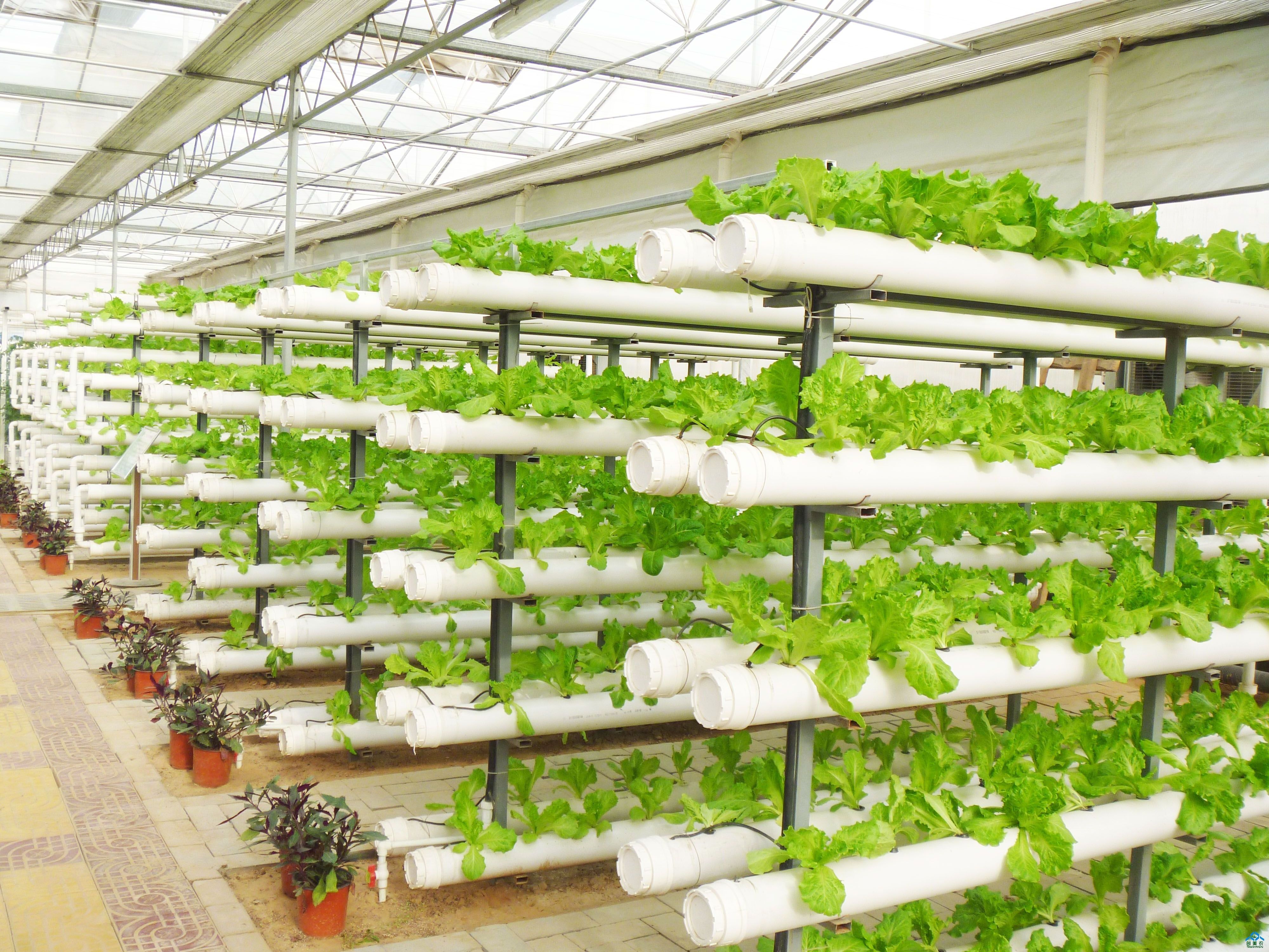 NFT Hydroponic Channel Growing Plants flowers vegetables fruits strawberry PVC plastic pipe factory manufacturer