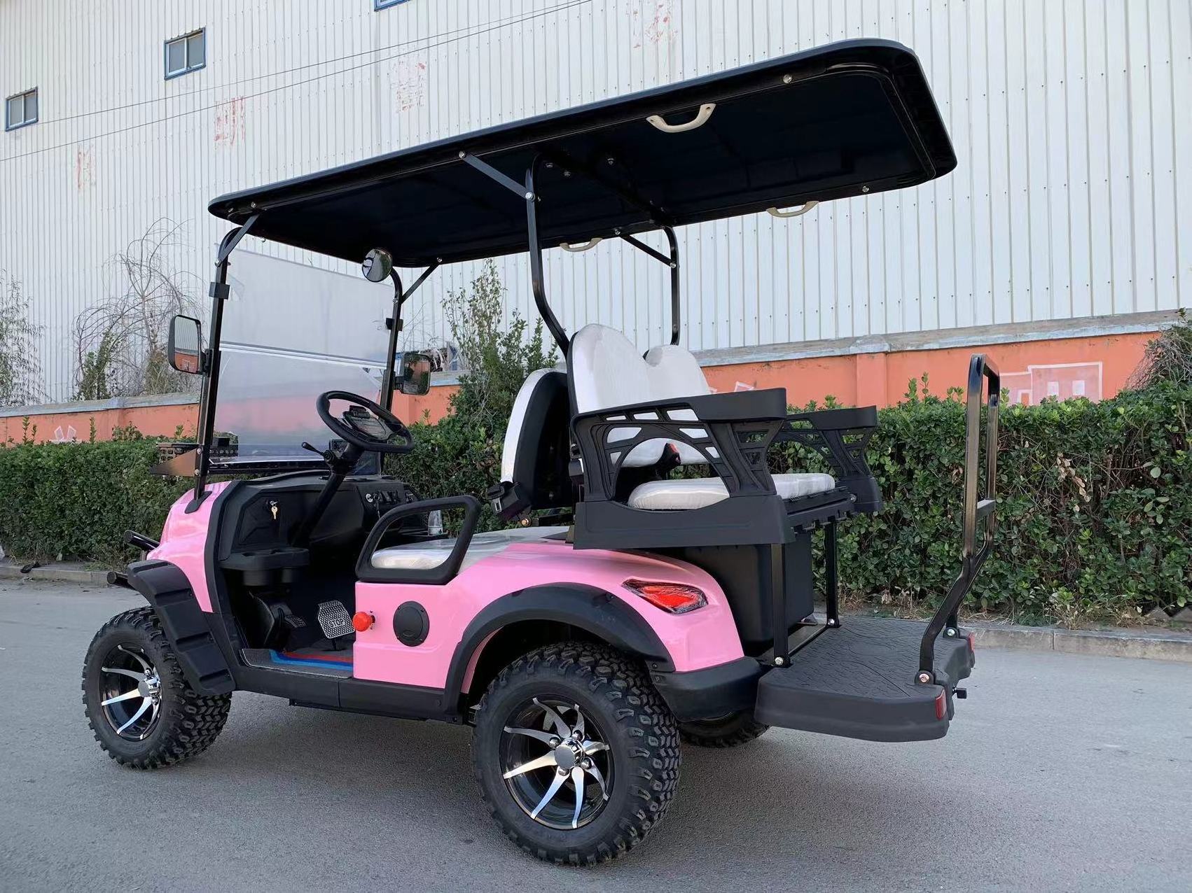 Hot Selling 6 Small Different Types Of Cars 4 Seater Electric Golf Cart