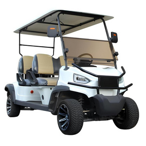 Best Cheap Chinese Electric Golf Carts for Sale 6 Seater 2 Seater Vintage Gas Lithium 72V 4 Prices Car Price Cars with Cargo