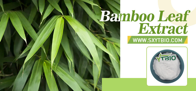 Bamboo Leaf Extract Botanical Bamboo Leaf Extract Silica Bamboo Leaf Powder