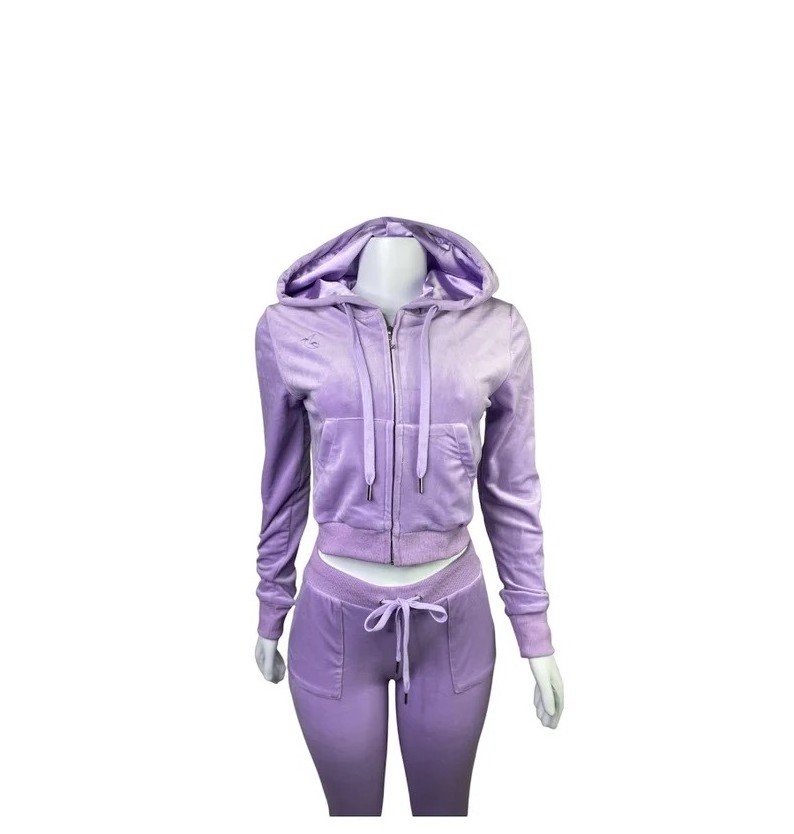 OEM high quality fashion gym fitted velvet tracksuits for women/Casual velvet tracksuits set/fashion purple tracksuits