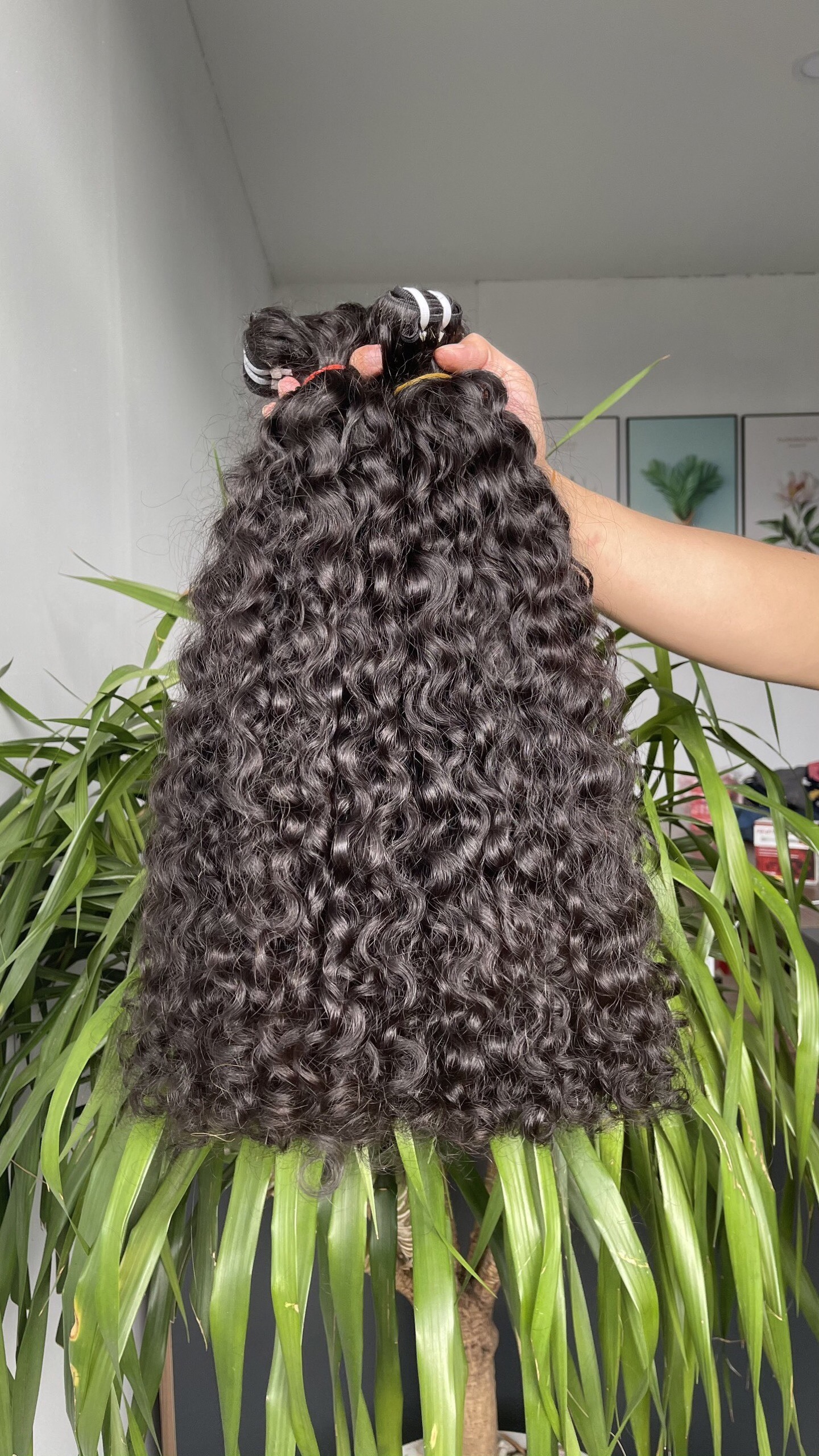 Raw burmese curly remy hair weft with lace closure and frontal from wholesale hair vendors