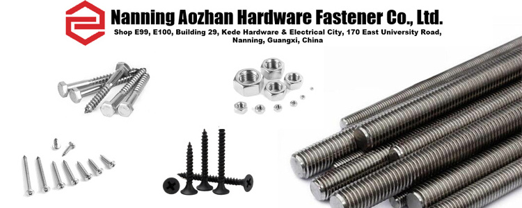 SS 304/316 Eye Nuts Bolt Lifting Hook Ring Bolts Swivel Expansion Gate Hinge Stainless Steel Nut