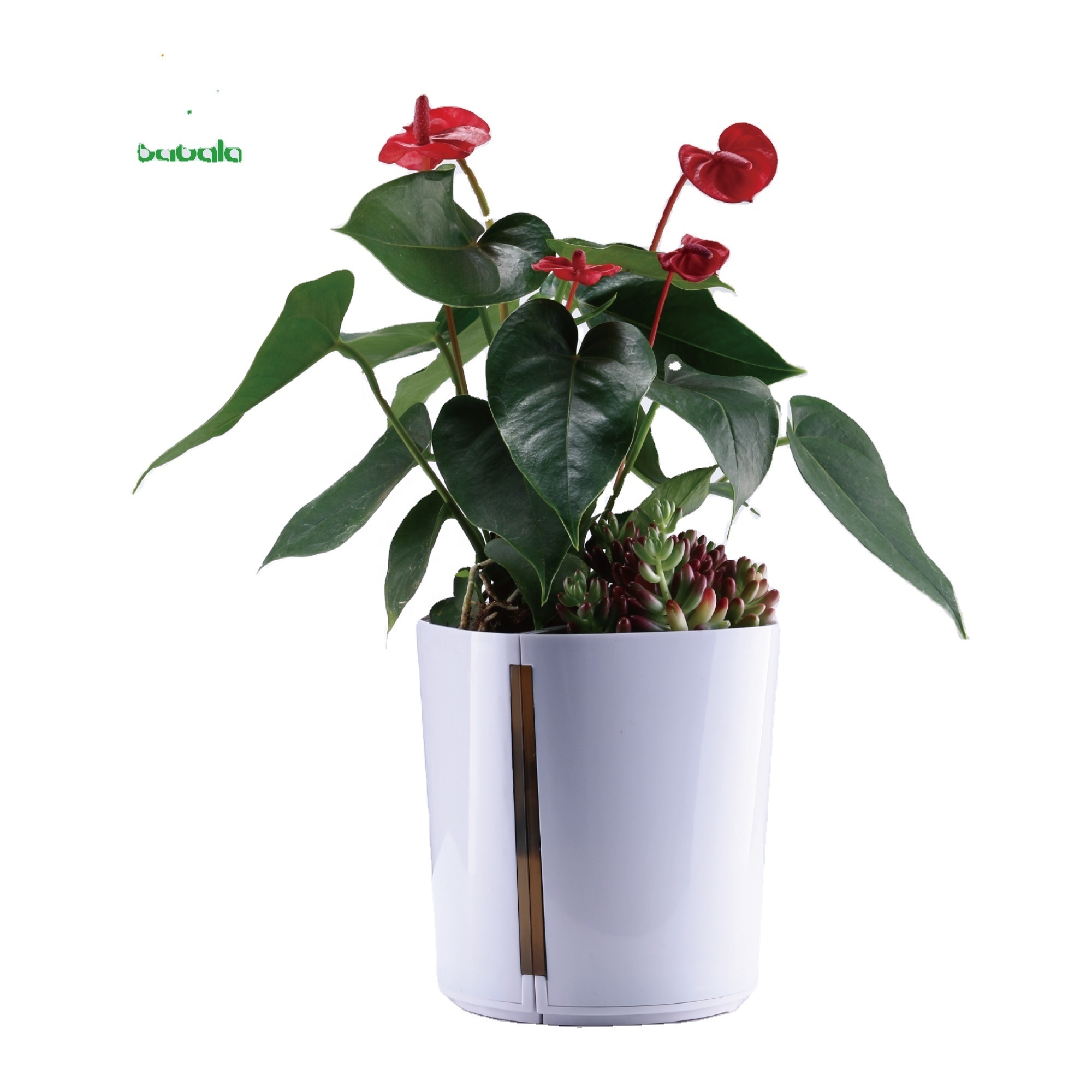 2023 Special Gift FLOWER POT Hanging flower planters decorative coffee shop solar changing growpot Solar Flowerpots