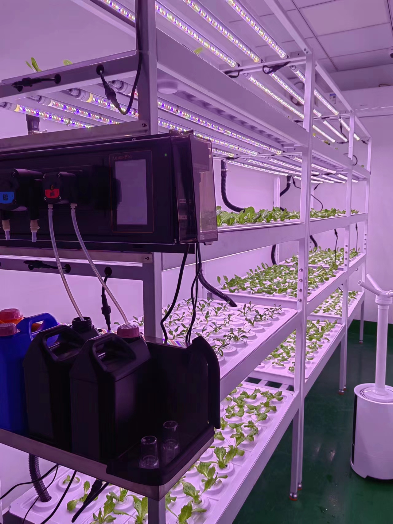 Hydroponics Indoor vertical farm CEA planting rack shelf, grow table