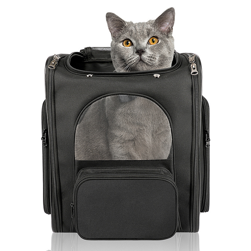 Cat Backpack Expandable Pet Carrier Backpack Airline-Approved Foldable Dog Carrier Backpack with Inner Safety Leash