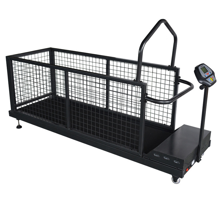 Dog Treadmill Saftey Guards Best Price Pet Water Treadmill 2 Doors Pet Treadmill