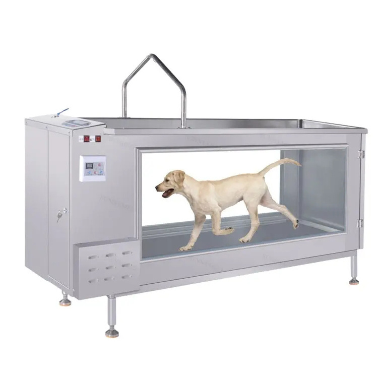 Dog Treadmill Commercial Vet Large Pet Electric Dog Treadmill Cat Underwater Electric Hydrotherapy Pet Water Treadmill For Sale