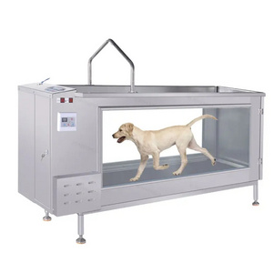 Water Treadmill Pet Care Clinic Use Hydrotherapy Treadmill Treadmill Dog For Animals Vet Use Sport Equipment