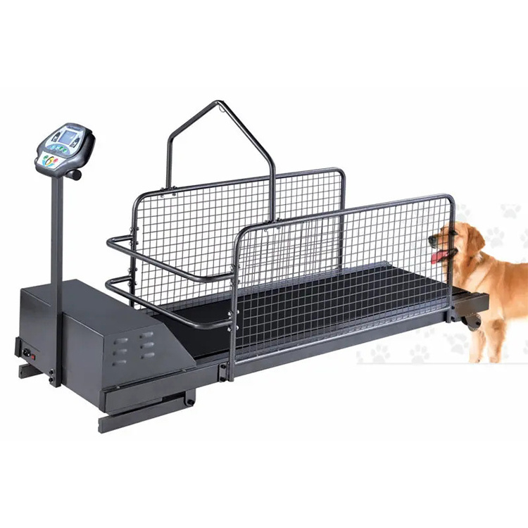 Dog Treadmill Saftey Guards Best Price Pet Water Treadmill 2 Doors Pet Treadmill