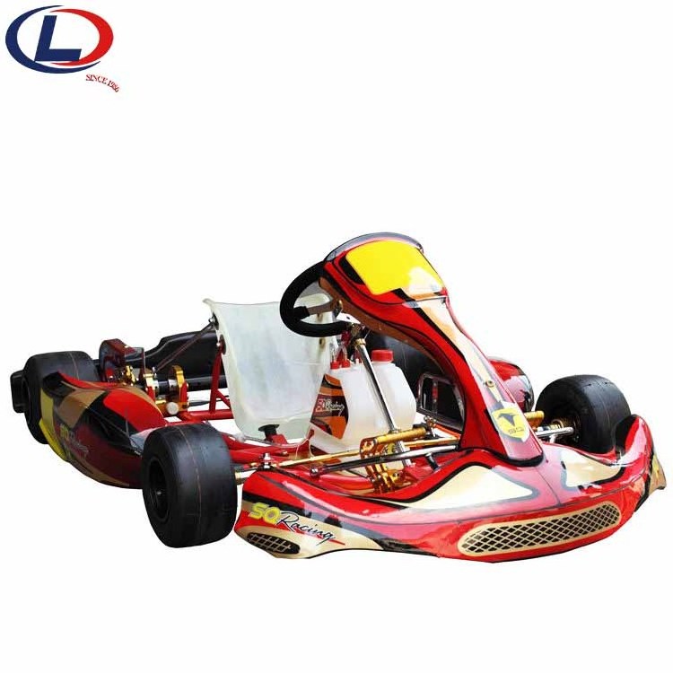 China Factory High Quality Outdoor Sports Adults Racing Karts Playground Electric Go Karts for sale