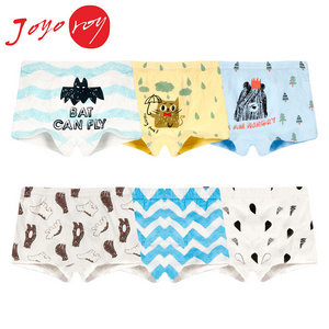 Joyo Roy children's cotton boxer briefs boys cartoon creative underwear wholesale OBM ODM OEM recruit agent