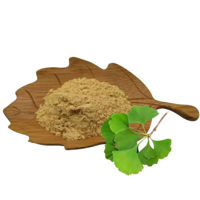 flavonoids ginkgolide ginkgo biloba extract 10:1natural supplement ginkgo biloba extract capsules