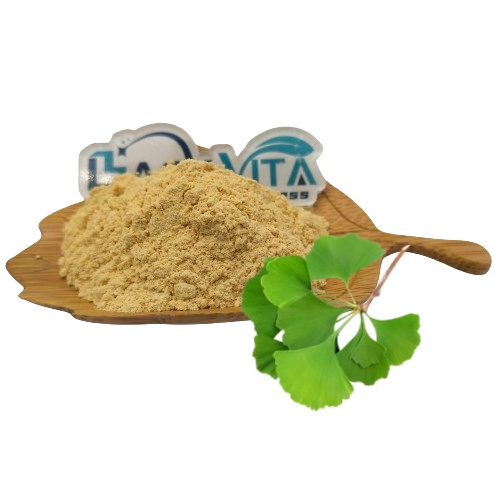 flavonoids ginkgolide ginkgo biloba extract 10:1natural supplement ginkgo biloba extract capsules